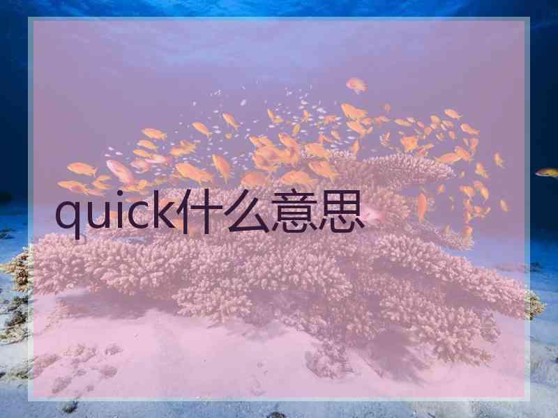 quick什么意思