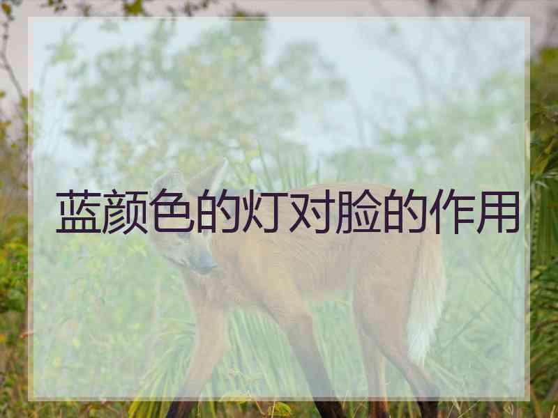 蓝颜色的灯对脸的作用
