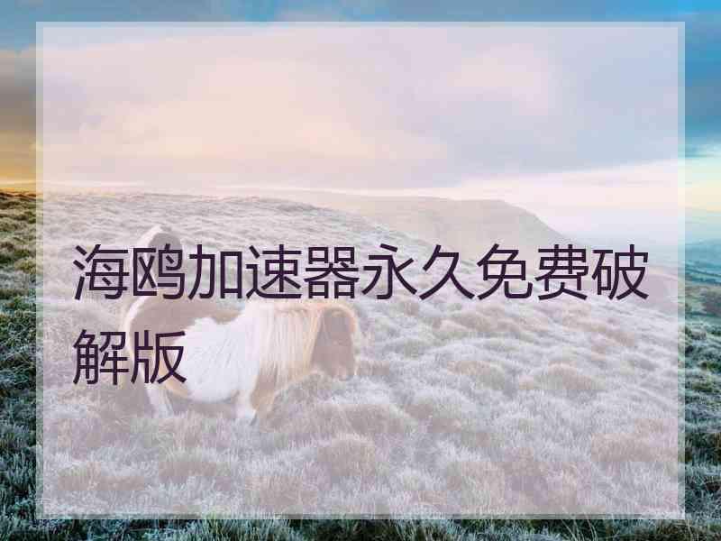 海鸥加速器永久免费破解版