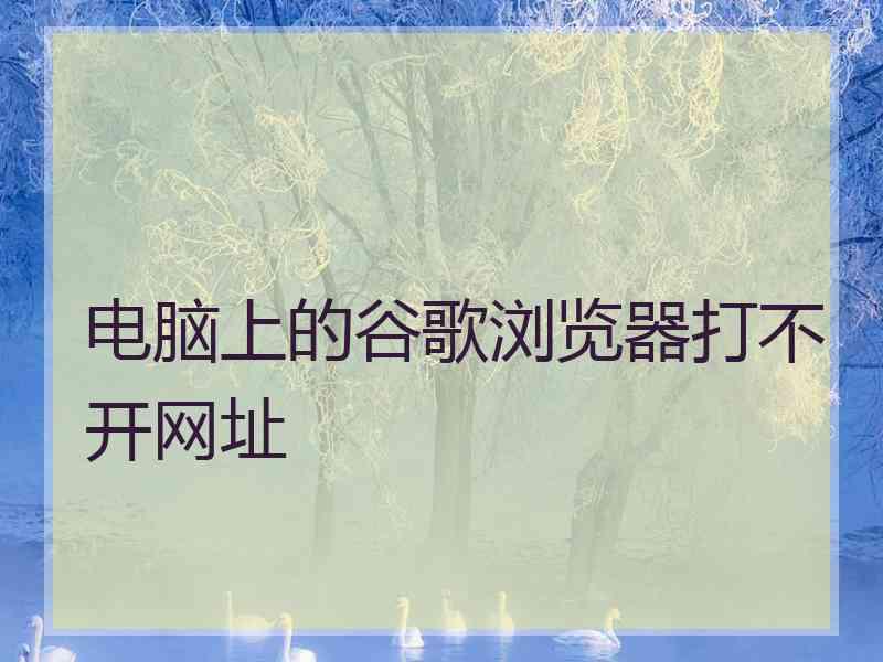 电脑上的谷歌浏览器打不开网址