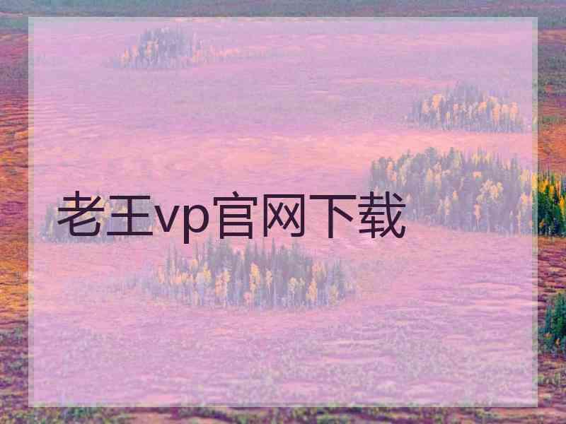 老王vp官网下载