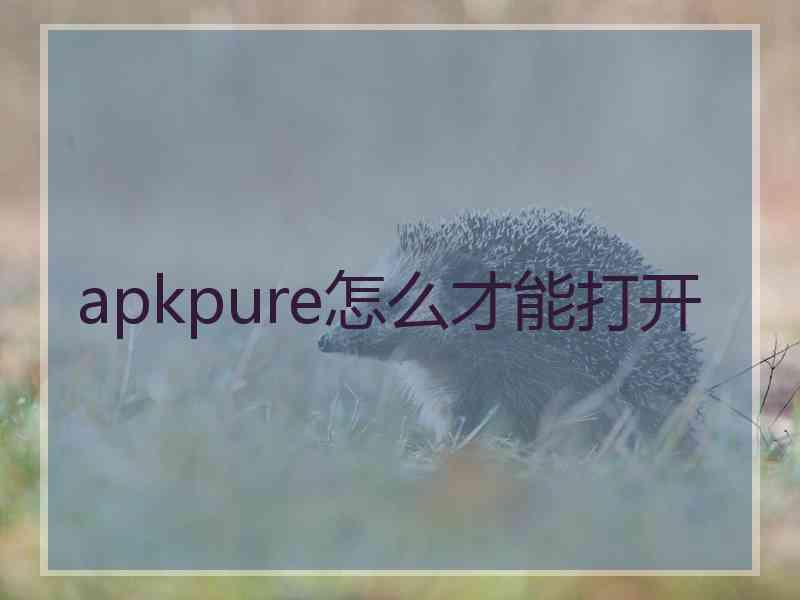 apkpure怎么才能打开