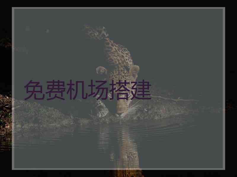 免费机场搭建