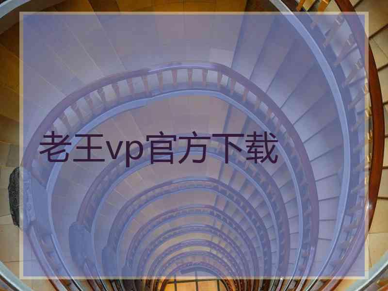 老王vp官方下载