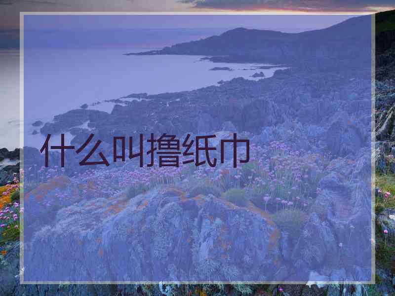 什么叫撸纸巾