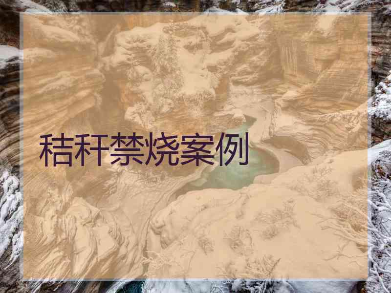 秸秆禁烧案例