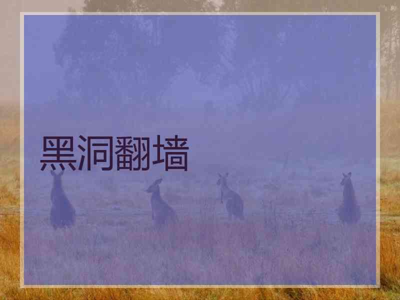 黑洞翻墙