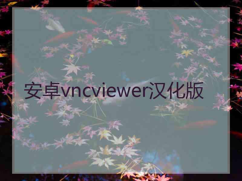 安卓vncviewer汉化版