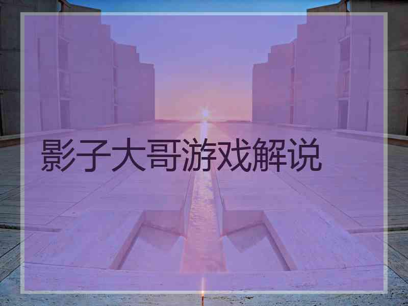 影子大哥游戏解说