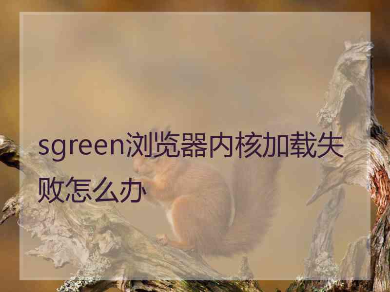 sgreen浏览器内核加载失败怎么办
