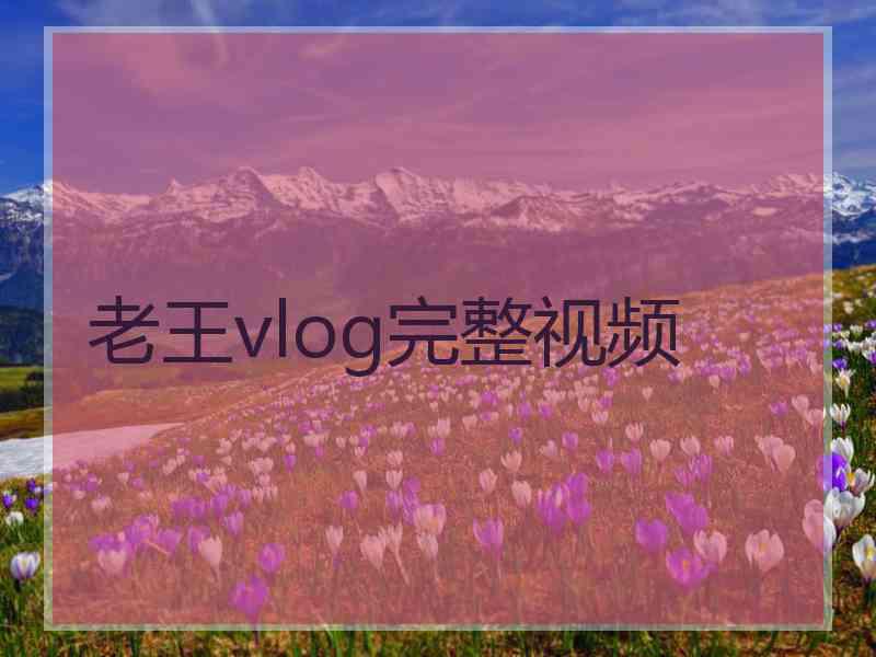 老王vlog完整视频