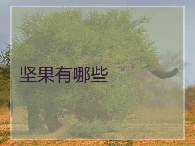坚果有哪些