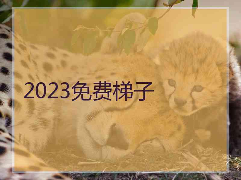 2023免费梯子