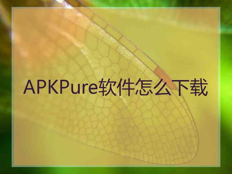 APKPure软件怎么下载