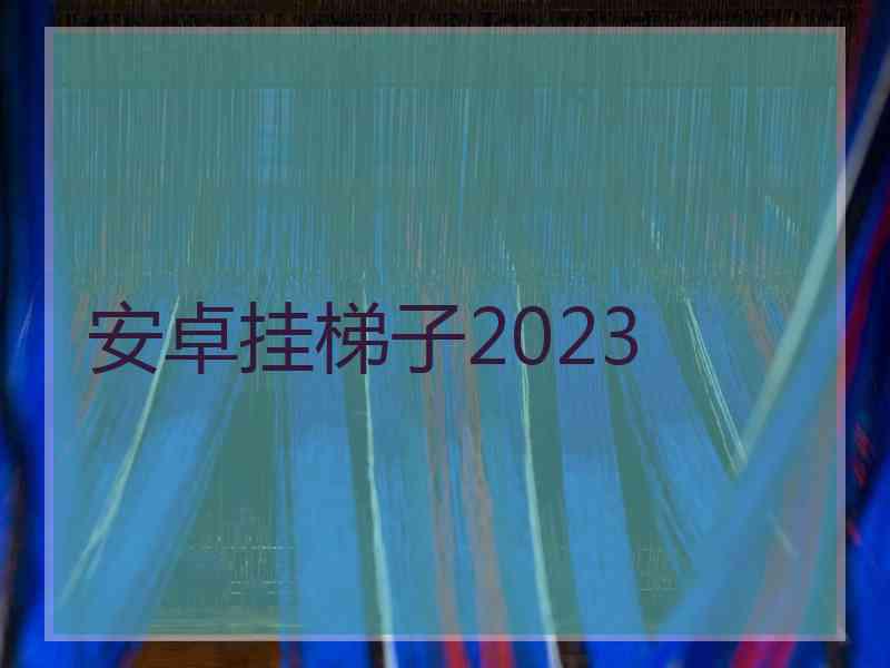 安卓挂梯子2023