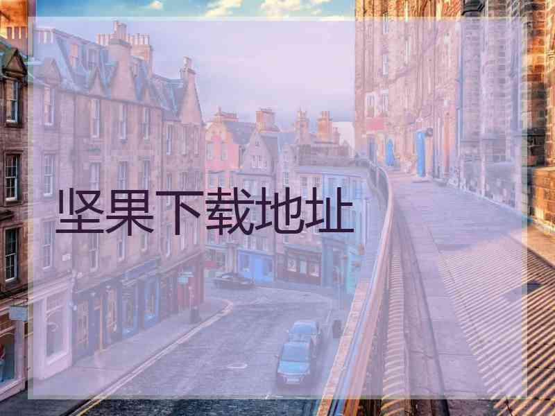 坚果下载地址