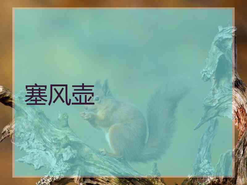 塞风壶
