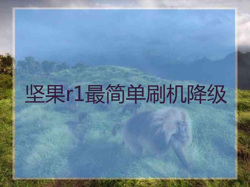 坚果r1最简单刷机降级
