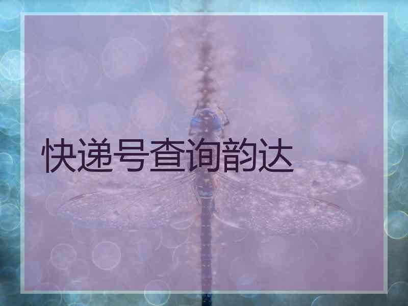 快递号查询韵达
