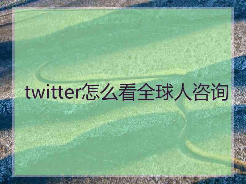twitter怎么看全球人咨询