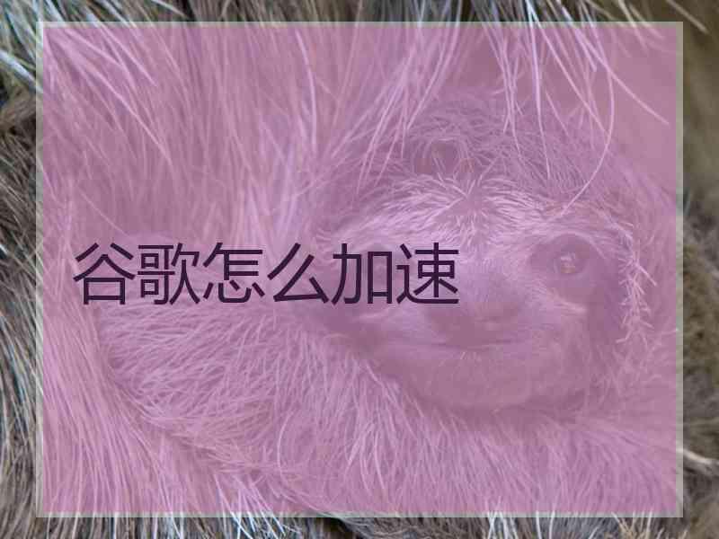谷歌怎么加速