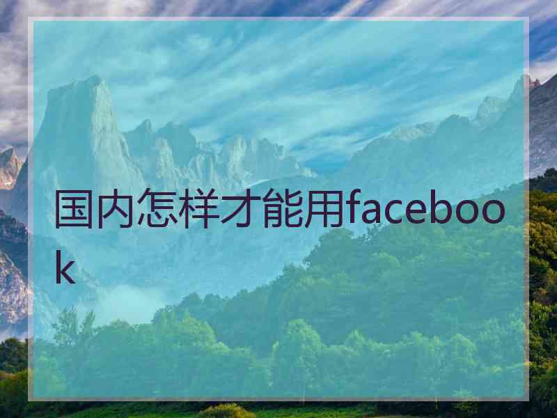 国内怎样才能用facebook