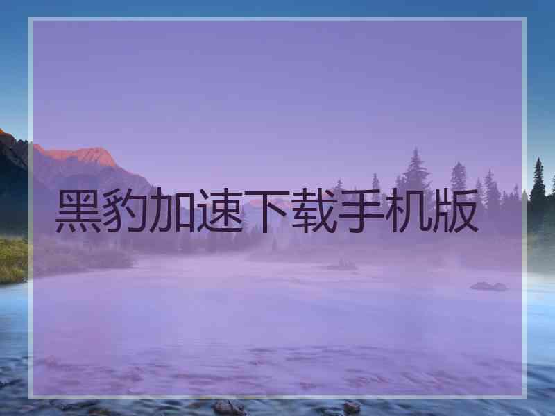 黑豹加速下载手机版