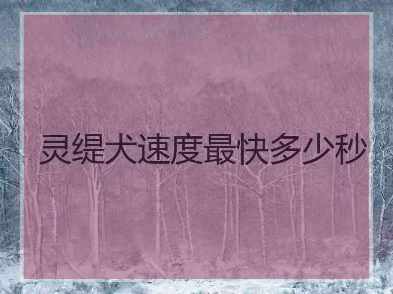 灵缇犬速度最快多少秒