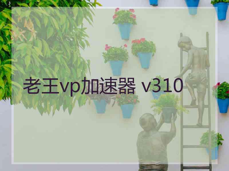 老王vp加速器 v310