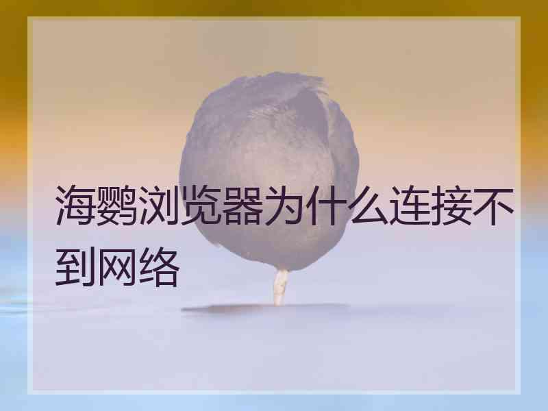 海鹦浏览器为什么连接不到网络