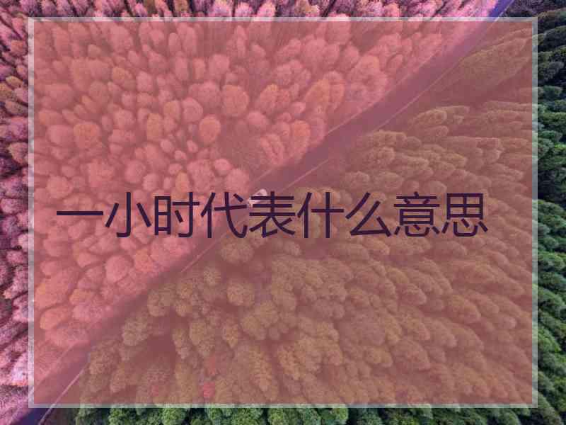 一小时代表什么意思