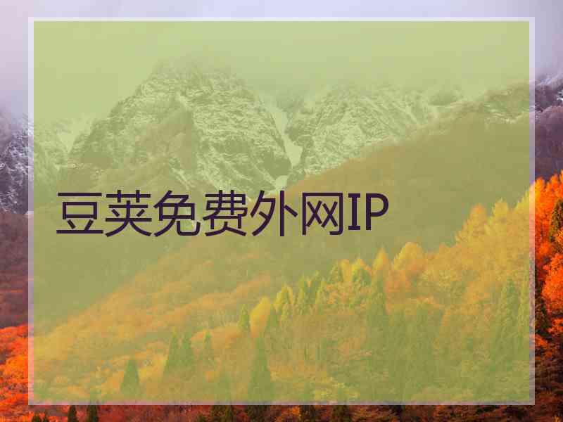 豆荚免费外网IP