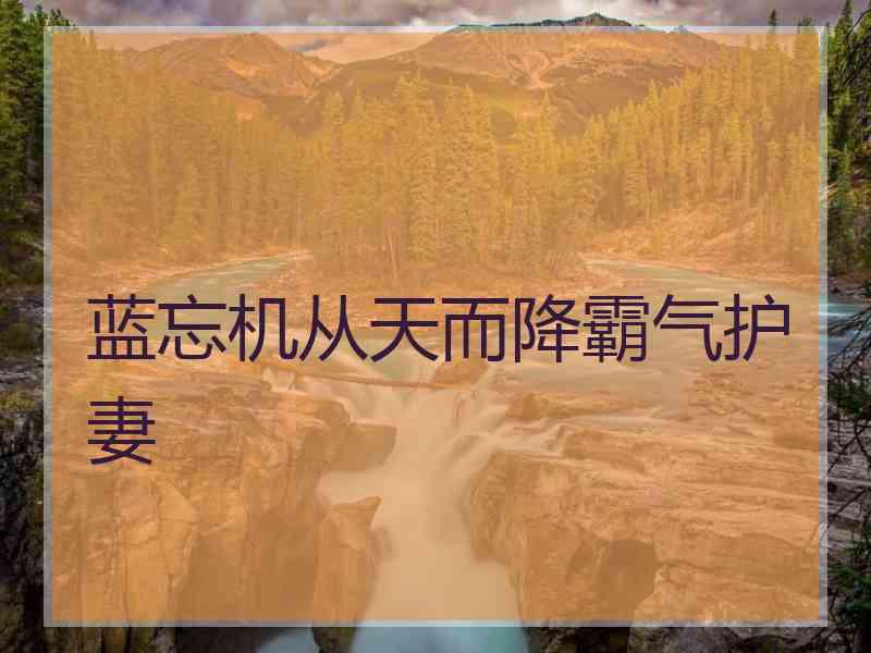 蓝忘机从天而降霸气护妻
