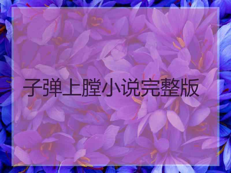 子弹上膛小说完整版