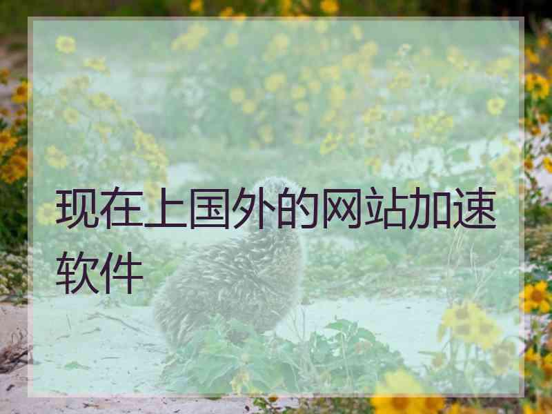 现在上国外的网站加速软件