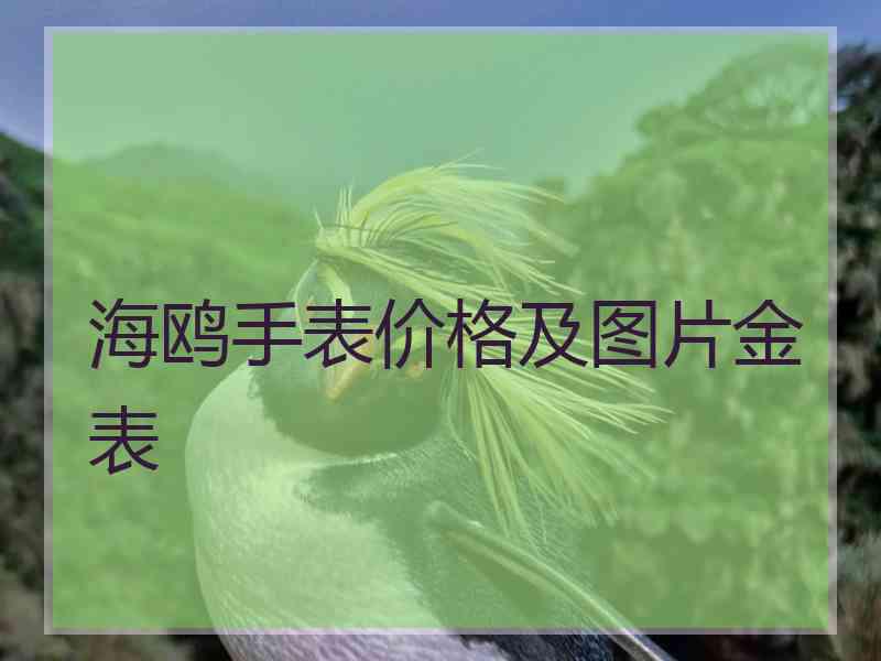 海鸥手表价格及图片金表
