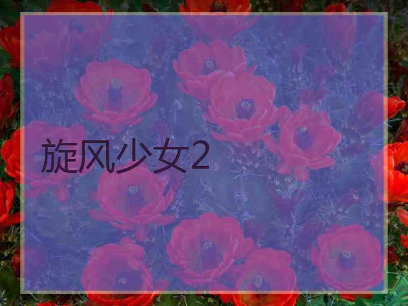 旋风少女2