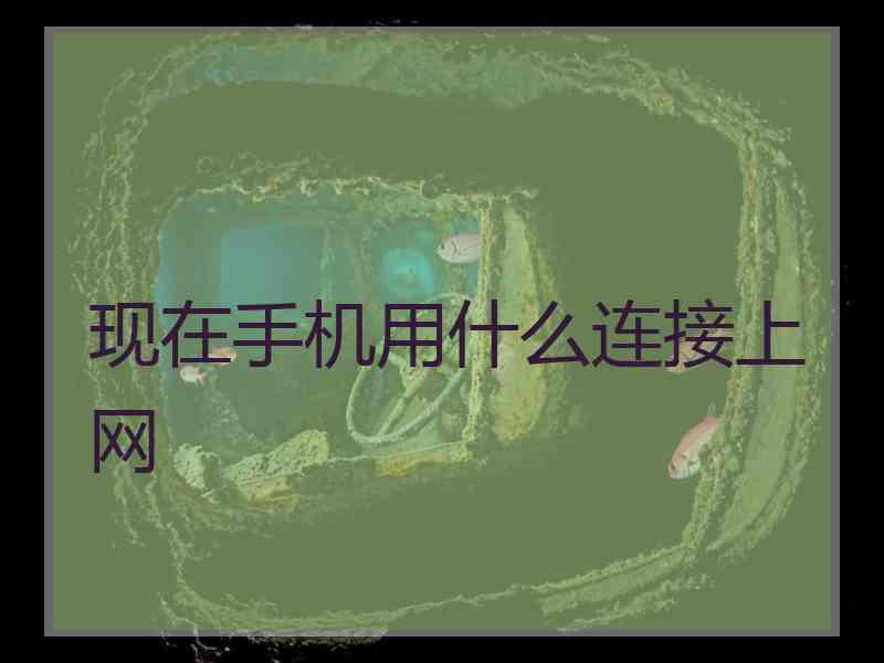 现在手机用什么连接上网