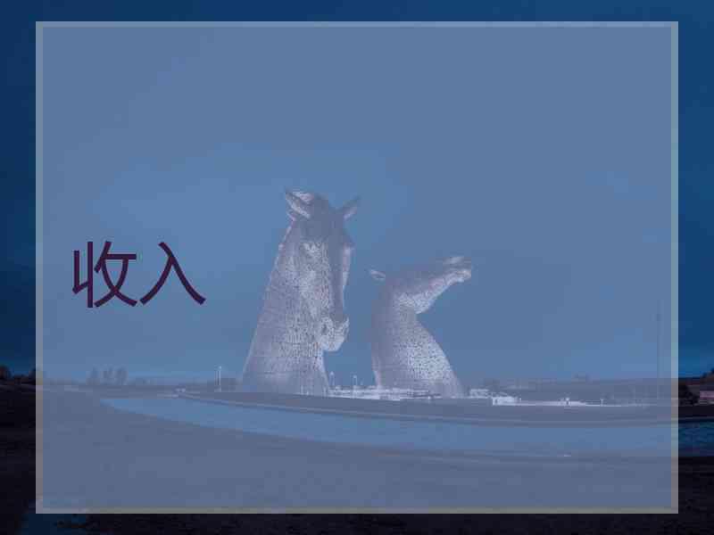 收入