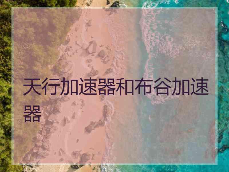 天行加速器和布谷加速器