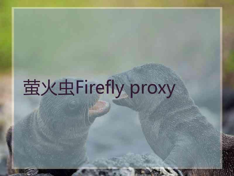 萤火虫Firefly proxy