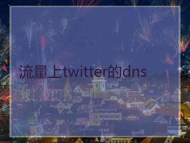 流量上twitter的dns