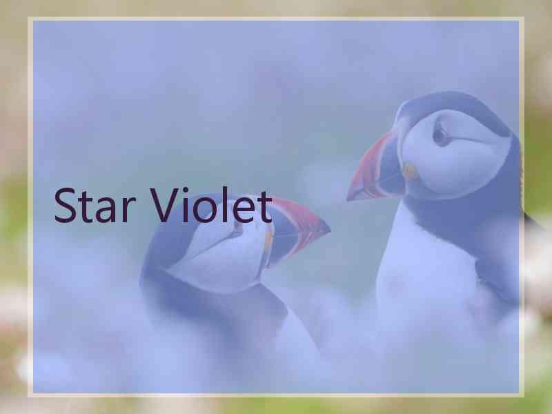 Star Violet