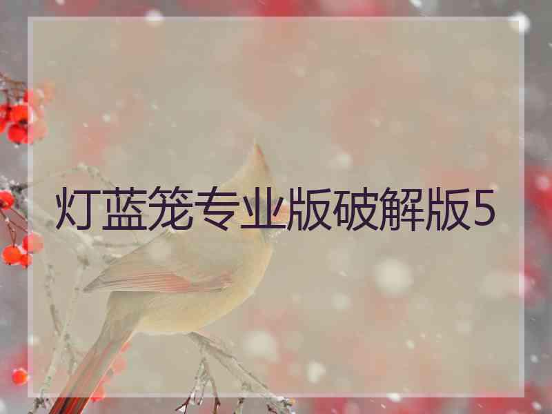 灯蓝笼专业版破解版5