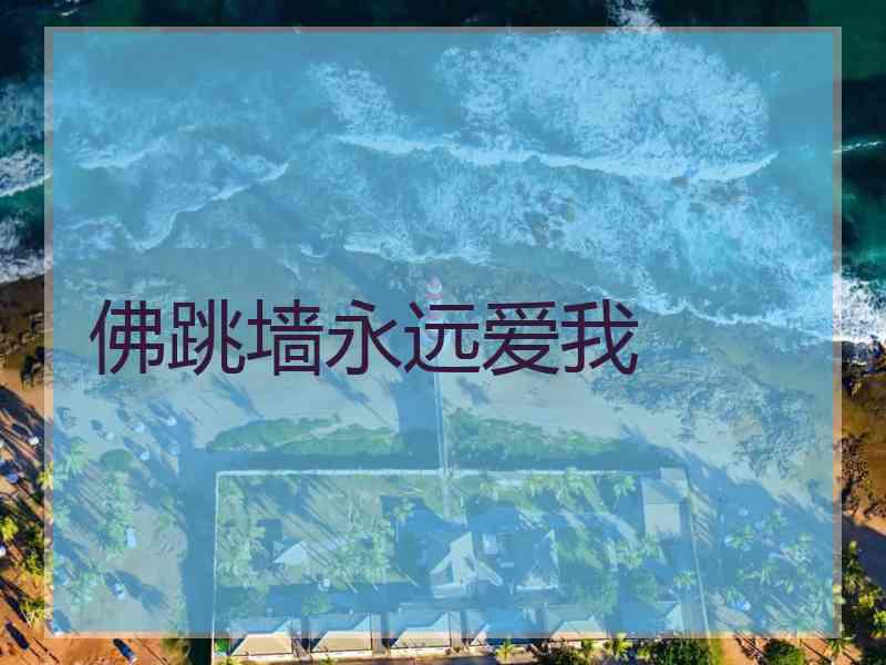 佛跳墙永远爱我