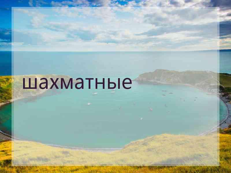 шахматные