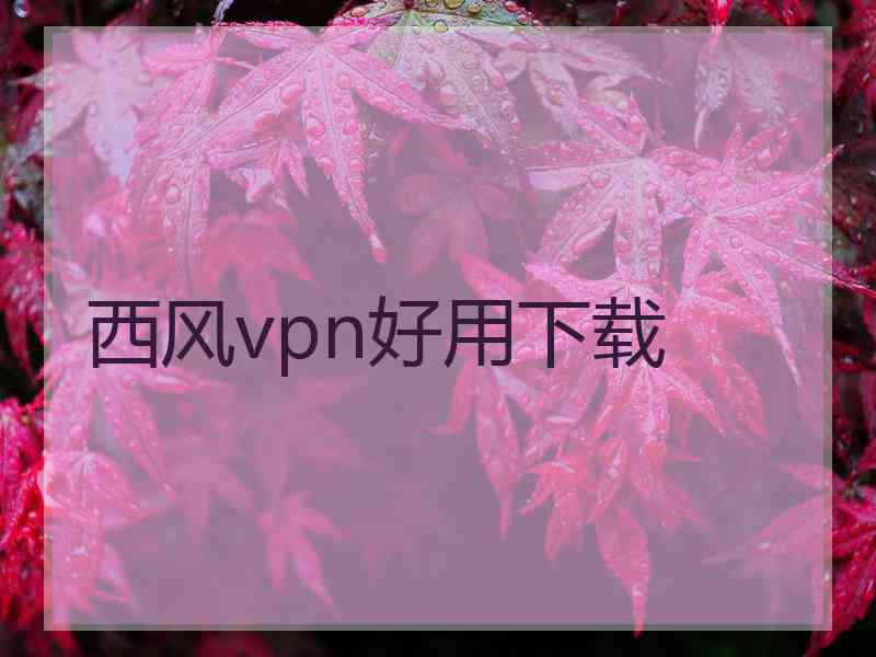 西风vpn好用下载