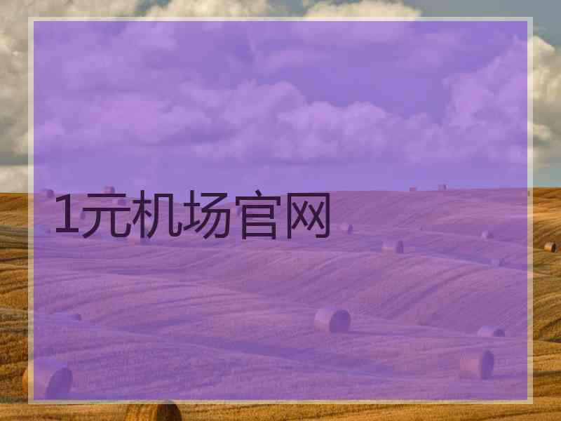 1元机场官网