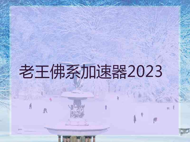 老王佛系加速器2023
