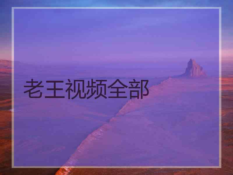 老王视频全部